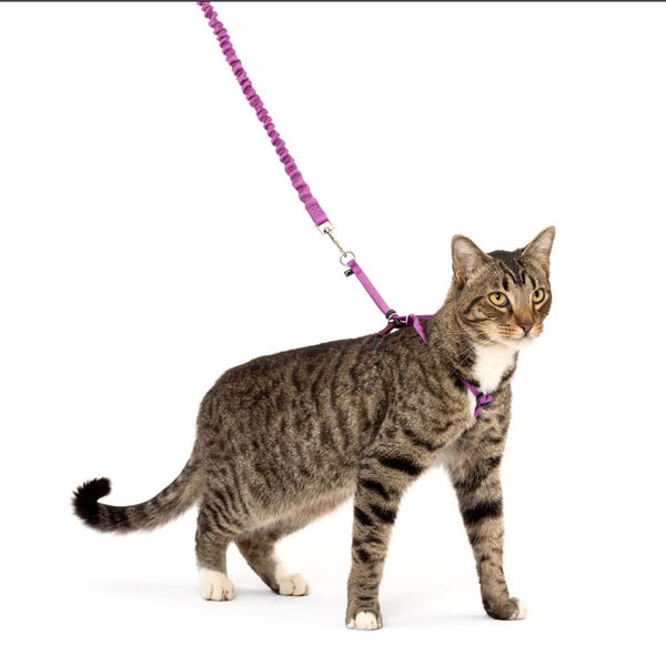 PetSafe Come with Me Kitty Nylon Harness & Bungee Leash for Cats, Dusty Rose/Burgundy