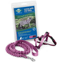 PetSafe Come with Me Kitty Nylon Harness & Bungee Leash for Cats, Dusty Rose/Burgundy