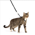 PetSafe Come with Me Kitty Nylon Harness & Bungee Leash for Cats, Black/Silver