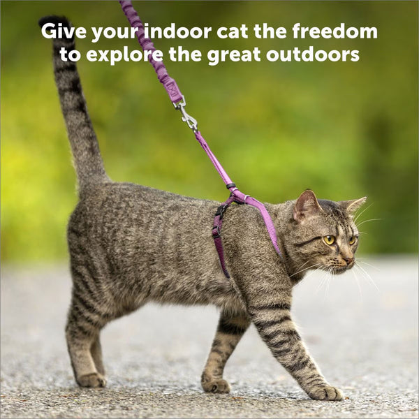 PetSafe Come with Me Kitty Nylon Harness & Bungee Leash for Cats