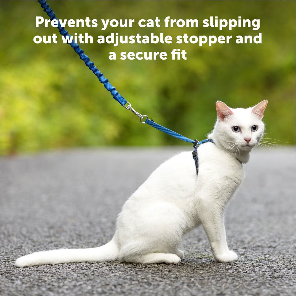 PetSafe Kitty Harness & Bungee Leash: Safe Outdoor Fun