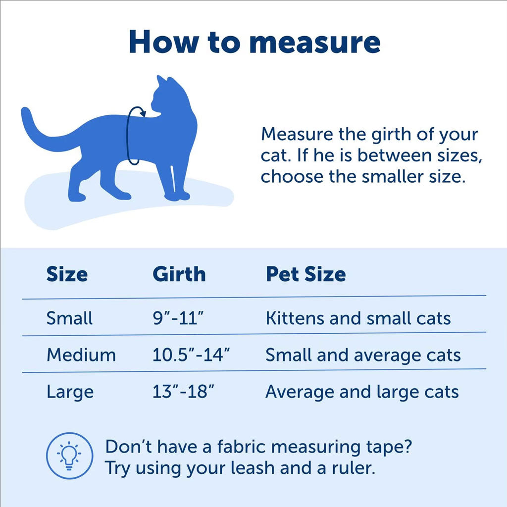 PetSafe Kitty Harness & Bungee Leash – Perfect for Adventures