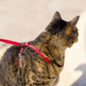 PetSafe Come with Me Kitty Nylon Harness & Bungee Leash for Cats