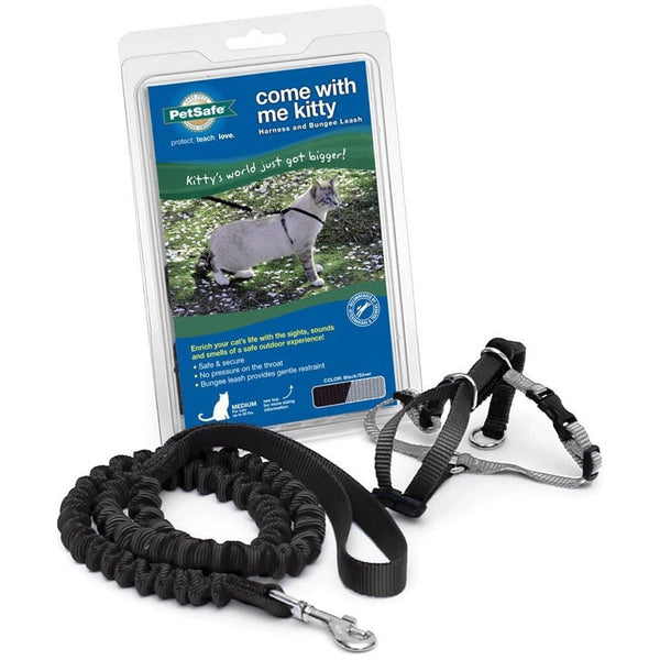 PetSafe Come with Me Kitty Nylon Harness & Bungee Leash for Cats, Black/Silver