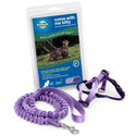 PetSafe Come with Me Kitty Nylon Harness & Bungee Leash for Cats, Lilac/Deep Purple