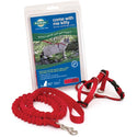 PetSafe Come with Me Kitty Nylon Harness & Bungee Leash for Cats, Red/Cranberry