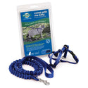 PetSafe Come with Me Kitty Nylon Harness & Bungee Leash for Cats, Royal Blue/Navy