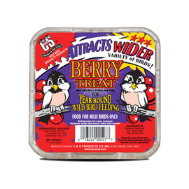 C&S Suet Treat for Wild Birds 12 pack - Berry (11.75 oz) - Bird Treats 1