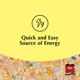 C&S High Energy Suet Treat for Wild Birds (11.75 oz) - Bird Treats 2
