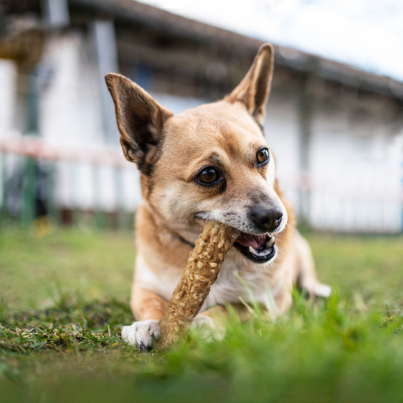 Cadet Smart Hide Rawhide Free Dog Chews (2 ct) - Dog Treats & Chews 20
