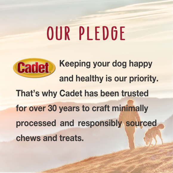 Cadet Smart Hide Rawhide Free Dog Chews (2 ct) - Dog Treats & Chews 6