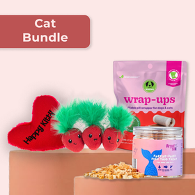 Purrfect Valentine Catnip & Play Bundle
