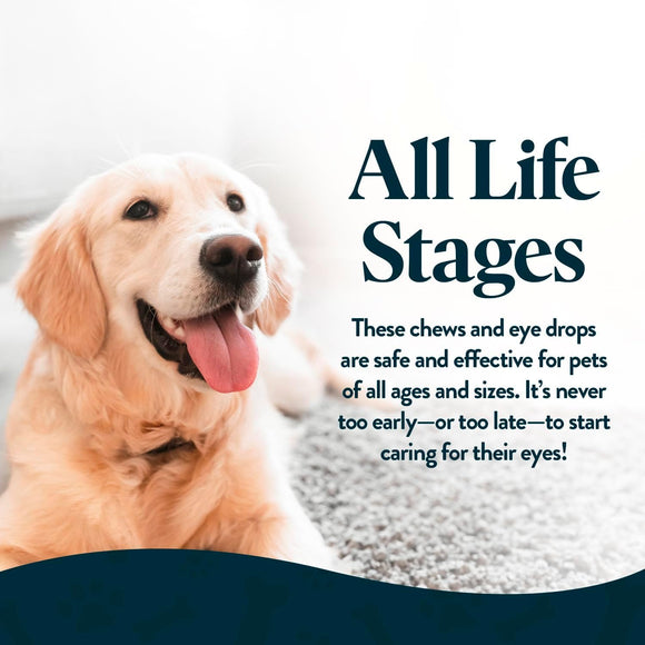 Dog with text about pet eye care products for all life stages