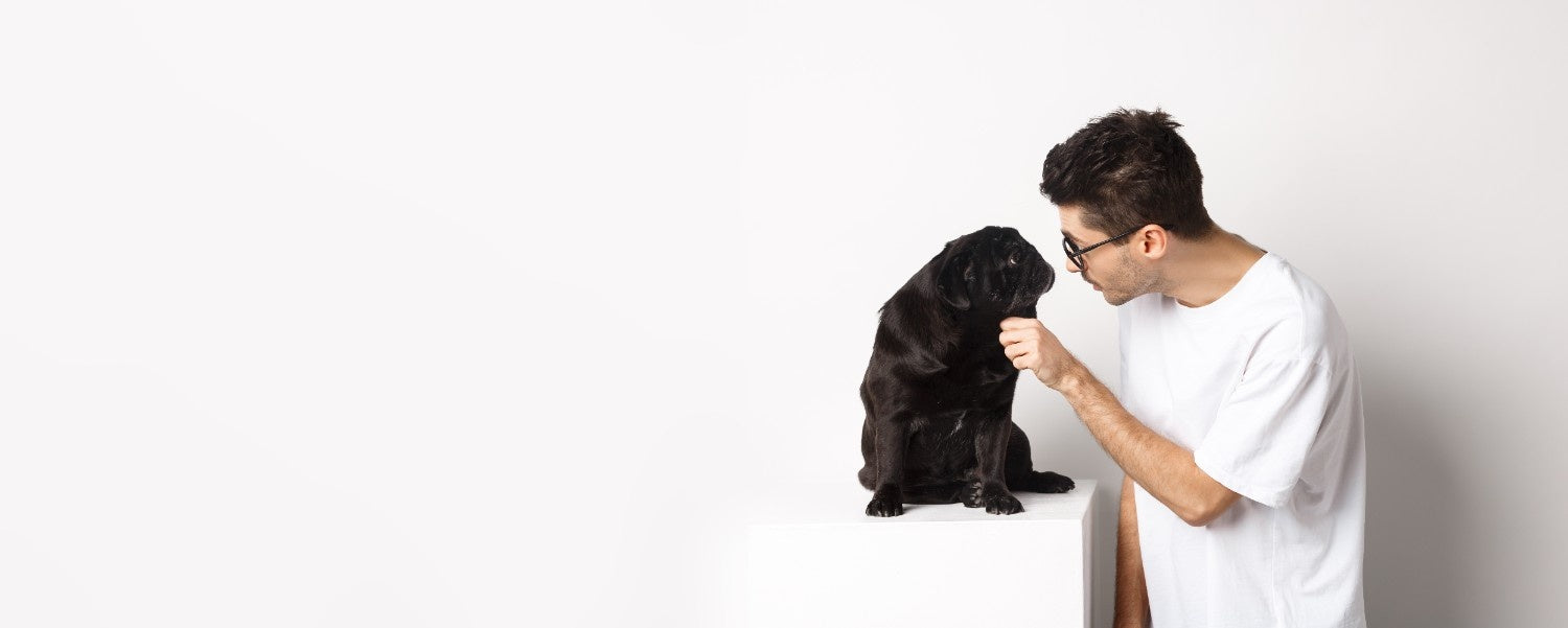 Choosing the Right Product for Your Pet between Advantage II & NexGard