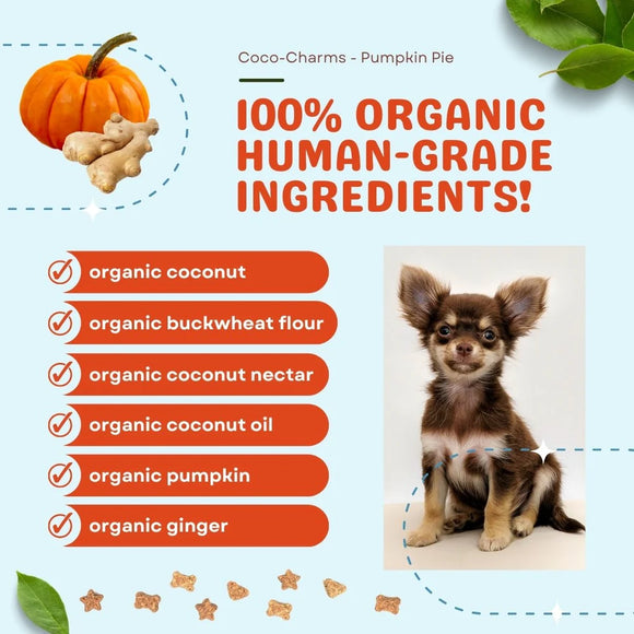 Dog food product with organic ingredients listed and a small dog on a light blue background.