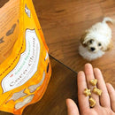 Person holding dog treats next to a Coco Chews packaging on a wooden floor with a small dog in the background.