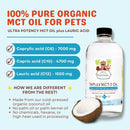 Bottle of Triplex MCT-3 Oil for pets with coconut and product details on a light blue background