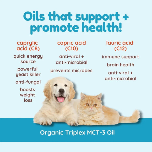 Advertisement for Organic Triplex MCT-3 Oil featuring a dog and cat on a blue background with text about oil benefits.