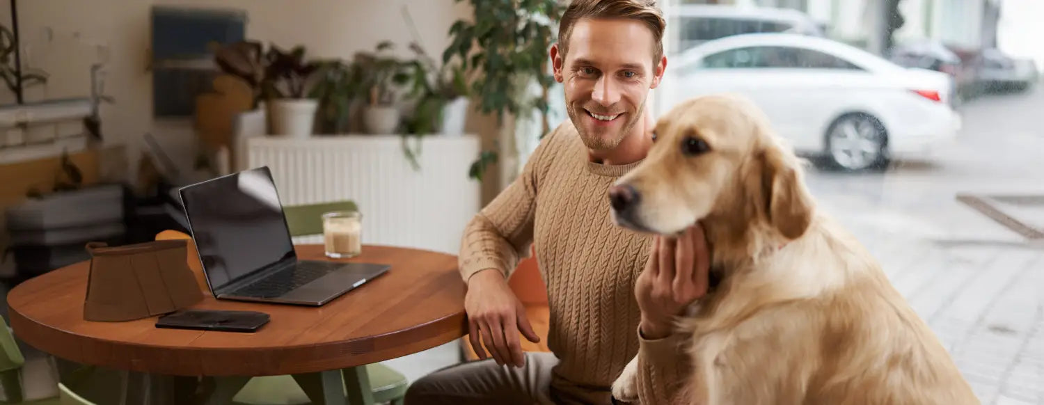 Conclusion: Dog Joint Health Guide on Causes, Signs, and Supplements
