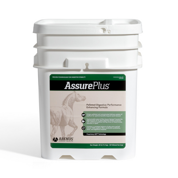 Concentrated Psyllium Digestive Supplement for Horses