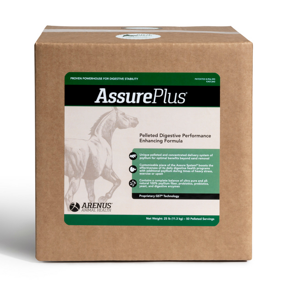  Assure Plus- Digestive Supplement for Horses