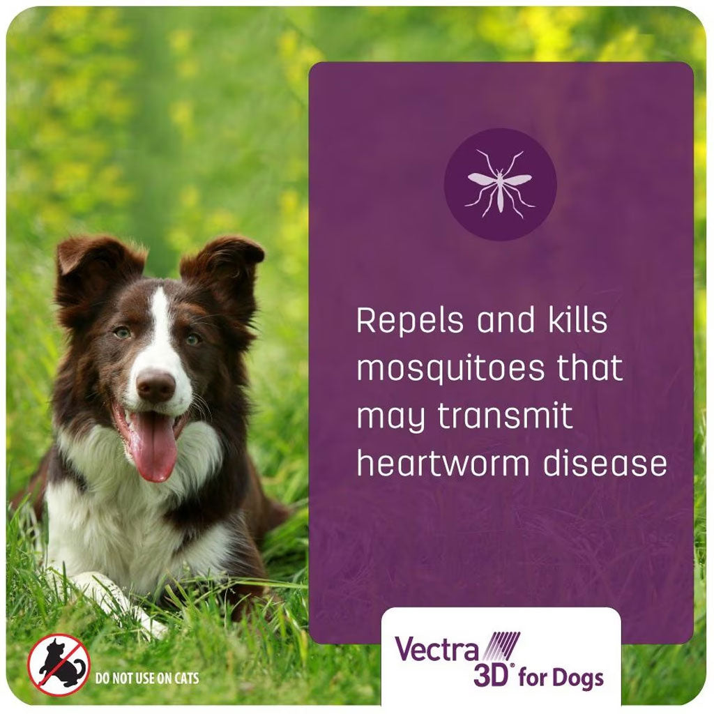 Vectra Chewy Flea Treatment VECTRA 3D Flea Tick Spot Treatment For