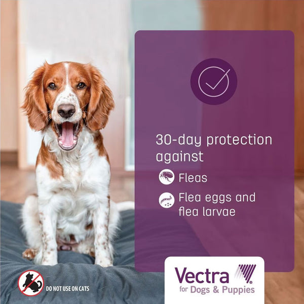 Vectra Flea and Tick Spot Treatment for X-Small Dogs & Puppies, 2.5-10 lbs