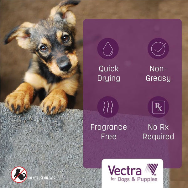 Vectra Flea and Tick Spot Treatment for X-Small Dogs & Puppies, 2.5-10 lbs