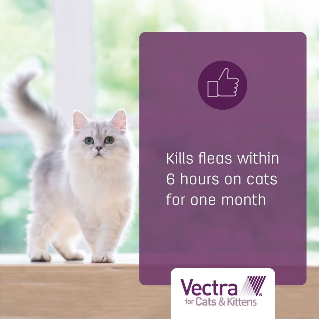 Vectra for Cats, 9 lbs and Over