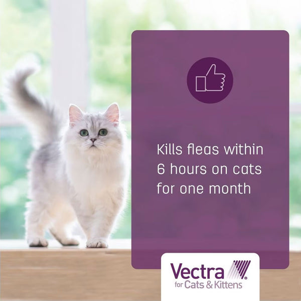 Vectra for Cats, 9 lbs and Over