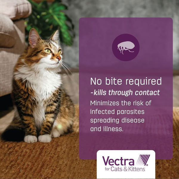 Vectra for Cats, 9 lbs and Over