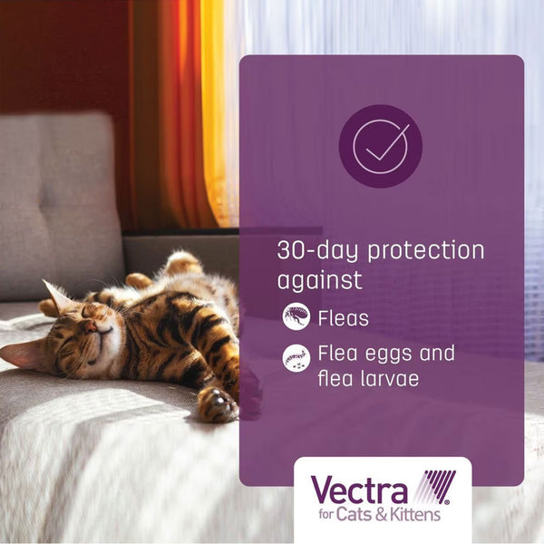 Vectra for Cats, 9 lbs and Over