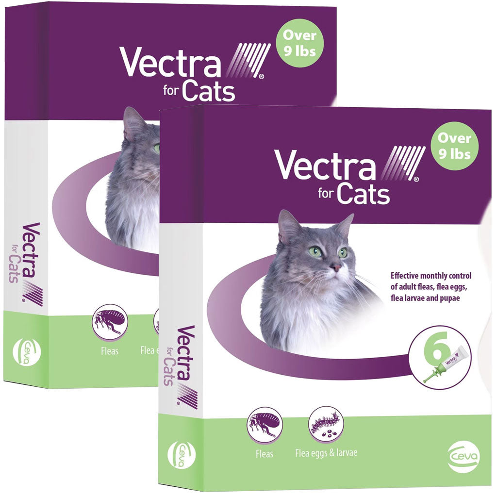 Vectra for Cats, 9 lbs and Over 12 doses