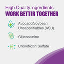 Dasuquin formula ingredients infographic showing glucosamine, chondroitin sulfate, and avocado/soybean unsaponifiables