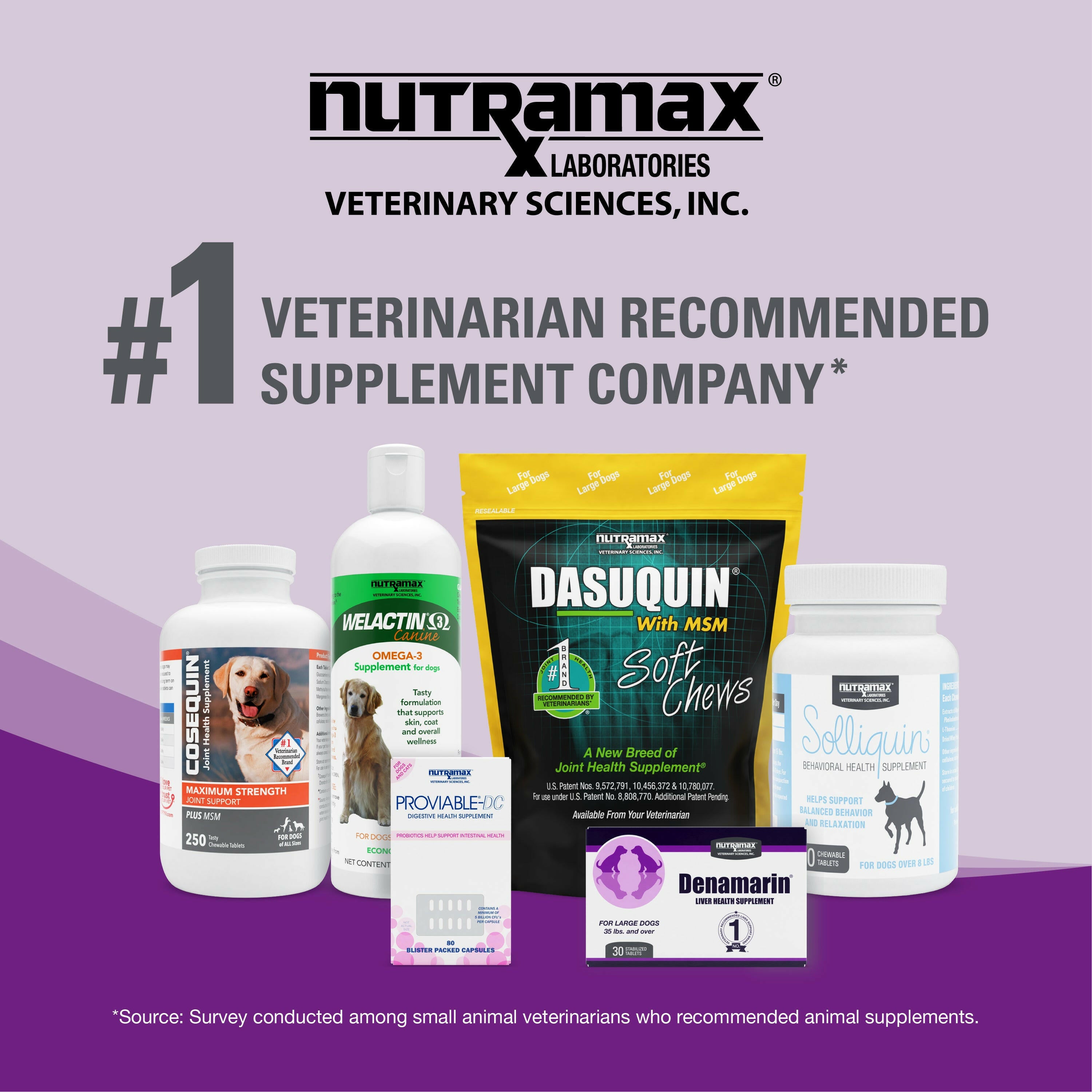 Nutramax Dasuquin Joint Health Supplement for Cats - With Glucosamine, Chondroitin, ASU, Boswellia Serrata Extract, and Green Tea Extract, 84 Capsules