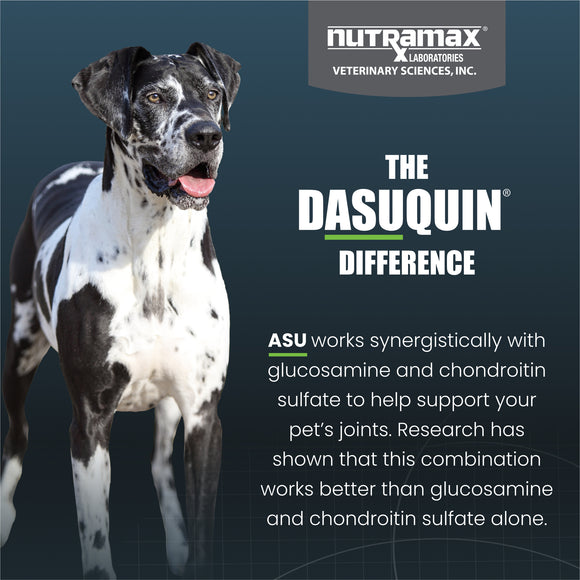 Nutramax Dasuquin Joint Health Supplement for Large Dogs - With Glucosamine, Chondroitin, ASU, Boswellia Serrata Extract, and Green Tea Extract, Chewable Tablets