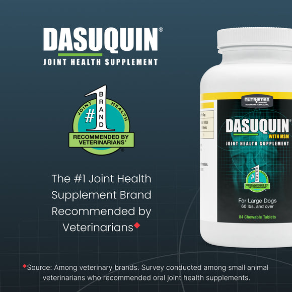 Nutramax Dasuquin with MSM Joint Health Supplement for Large Dogs - With Glucosamine, MSM, Chondroitin, ASU, Boswellia Serrata Extract, and Green Tea Extract, Chewable Tablets