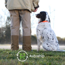 Nutramax Dasuquin with MSM Joint Health Supplement for Large Dogs - With Glucosamine, MSM, Chondroitin, ASU, Boswellia Serrata Extract, and Green Tea Extract, Chewable Tablets-9