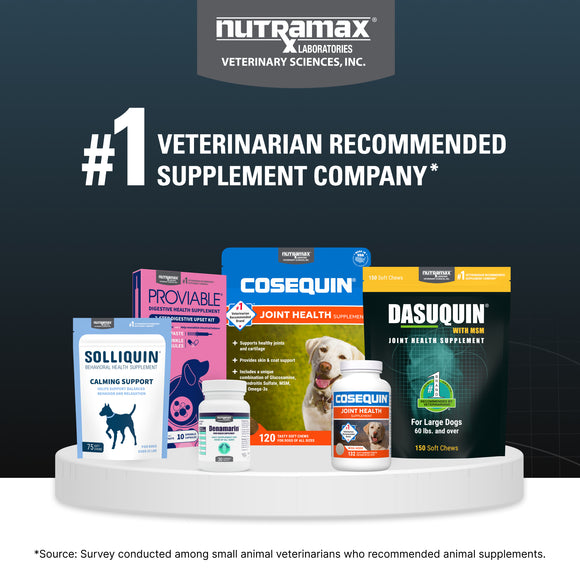 Nutramax Dasuquin with MSM Joint Health Supplement for Large Dogs - With Glucosamine, MSM, Chondroitin, ASU, Boswellia Serrata Extract, and Green Tea Extract, Chewable Tablets