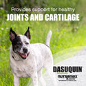 Dasuquin® Chewable Tablets for Large Dogs 84 ct