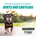 Nutramax Dasuquin Joint Health Supplement for Small to Medium Dogs - With Glucosamine, Chondroitin, ASU, Boswellia Serrata Extract, Green Tea Extract, Soft Chews