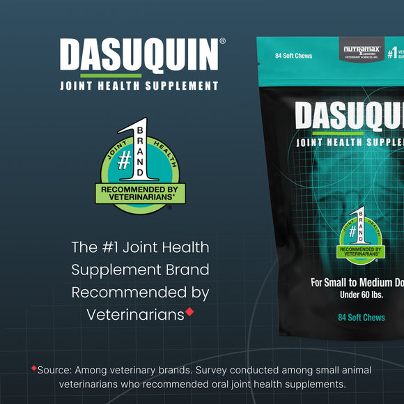 Nutramax Dasuquin Joint Health Supplement for Small to Medium Dogs - With Glucosamine, Chondroitin, ASU, Boswellia Serrata Extract, Green Tea Extract, Soft Chews