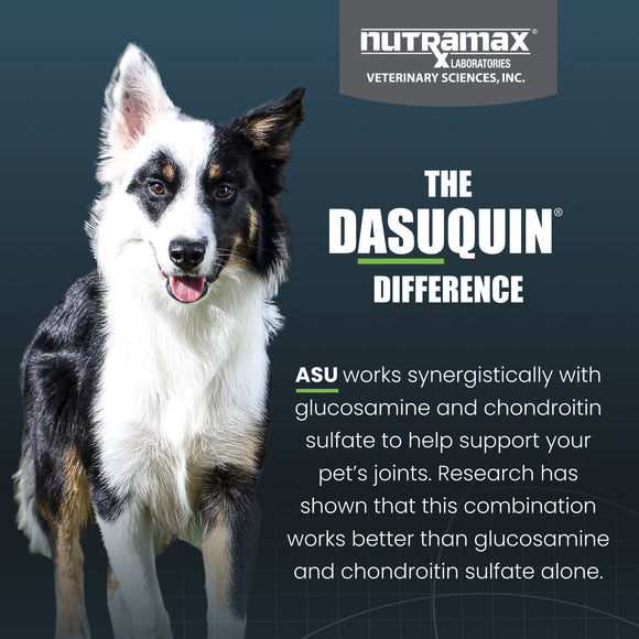 Nutramax Dasuquin Joint Health Supplement for Small to Medium Dogs - With Glucosamine, Chondroitin, ASU, MSM, Boswellia Serrata Extract, Green Tea Extract, Chewable Tablets