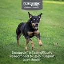 Nutramax Dasuquin Joint Health Supplement for Small to Medium Dogs - With Glucosamine, Chondroitin, ASU, Boswellia Serrata Extract and Green Tea Extract, Chewable Tablets-2