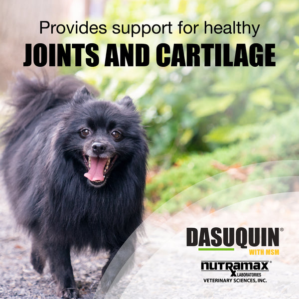 Nutramax Dasuquin Joint Health Supplement for Small to Medium Dogs - With Glucosamine, Chondroitin, ASU, MSM, Boswellia Serrata Extract, Green Tea Extract, Soft Chews