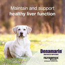maintain and support healthy liver function with denamarin chewable tablets