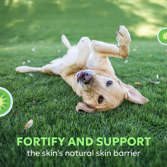 Dog lying on its back on grass with text about fortifying and supporting skin's natural barrier.