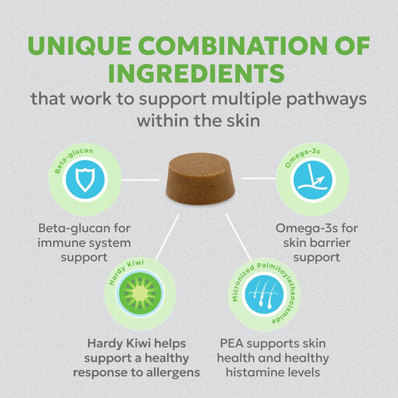 Diagram of ingredients for skin health with labels and icons on a gray background