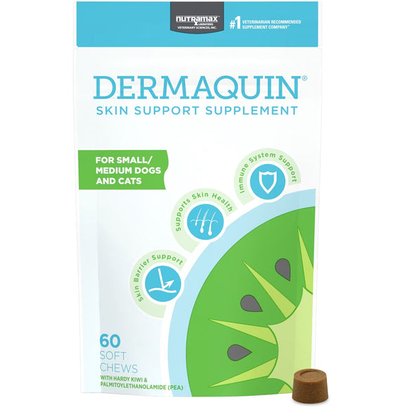 Dermaquin skin support supplement packaging for small and medium dogs and cats on a white background.