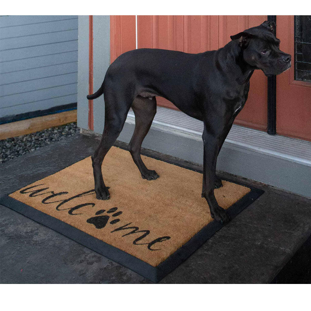 4 Cats & Dogs Welcome Rectangular Entrance Mat